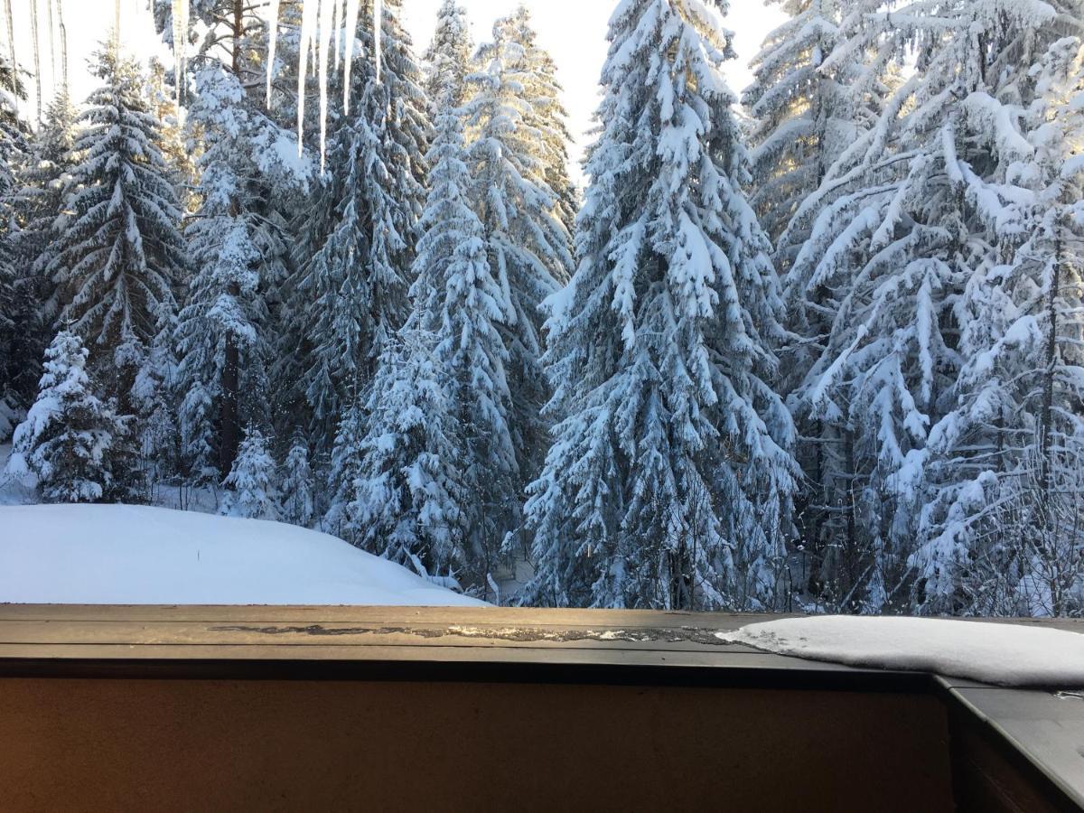 Borovets Chalets Bagian luar foto
