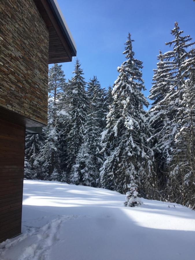 Borovets Chalets Bagian luar foto