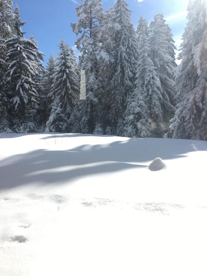 Borovets Chalets Bagian luar foto