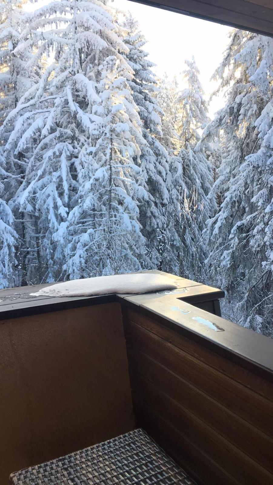 Borovets Chalets Bagian luar foto