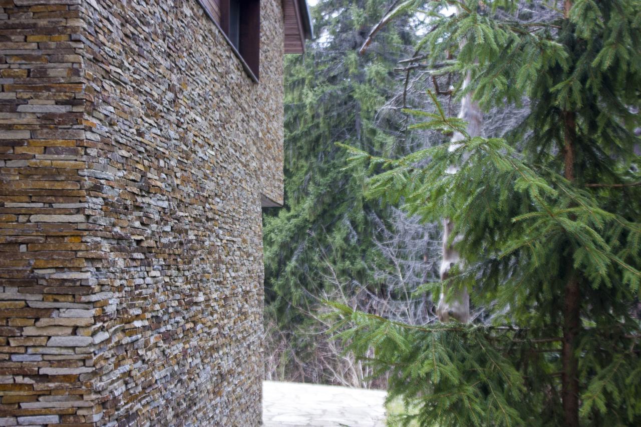 Borovets Chalets Bagian luar foto