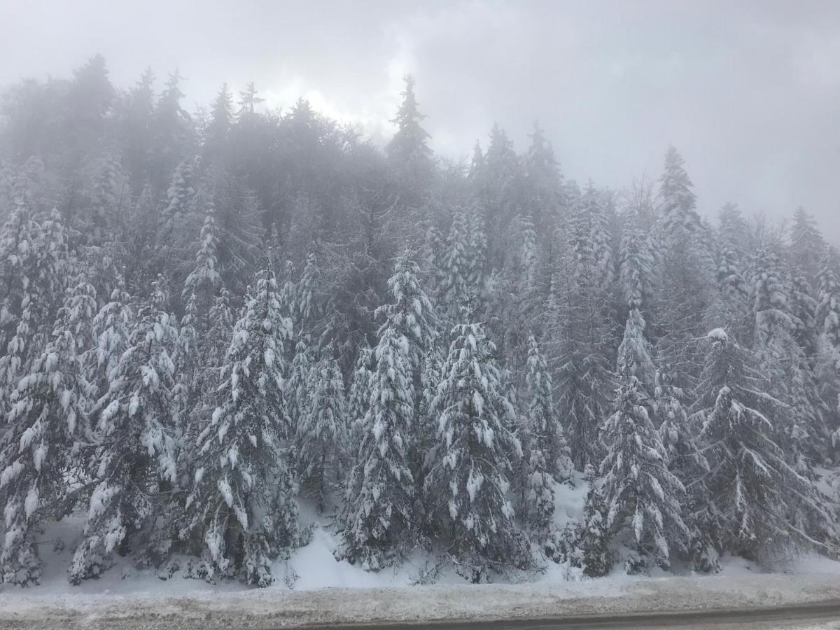 Borovets Chalets Bagian luar foto